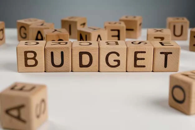 Super budget challenge